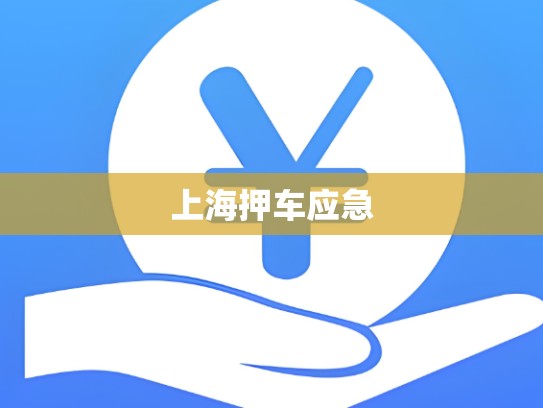 上海押车应急