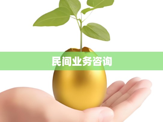 民间业务咨询