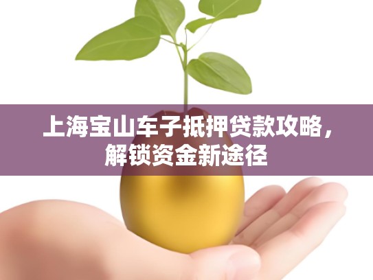 上海宝山车子抵押贷款攻略，解锁资金新途径