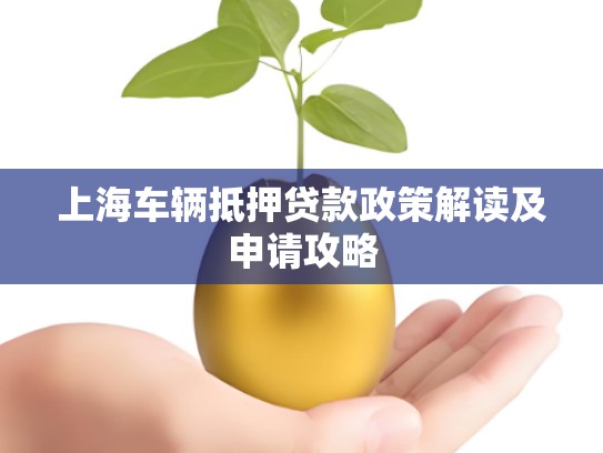 上海车辆抵押贷款政策解读及申请攻略
