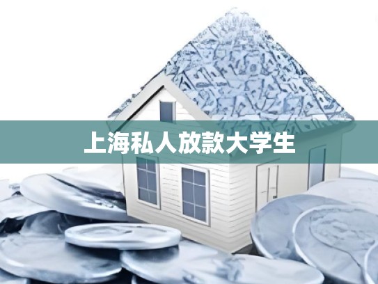 上海私人放款大学生