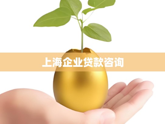 上海企业贷款咨询