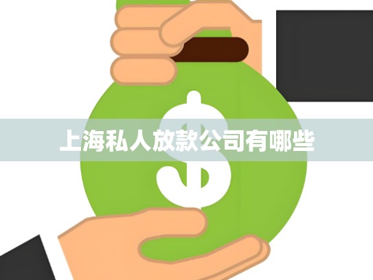 上海私人放款公司有哪些