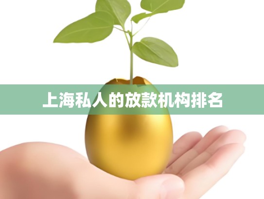 上海私人的放款机构排名