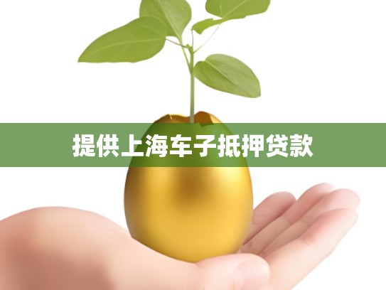 提供上海车子抵押贷款