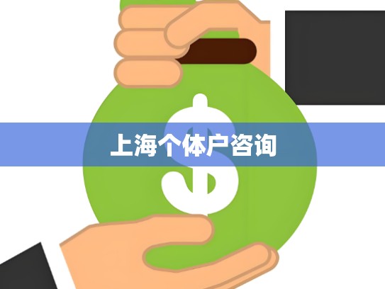 上海个体户咨询