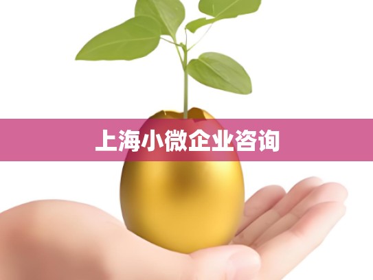 上海小微企业咨询