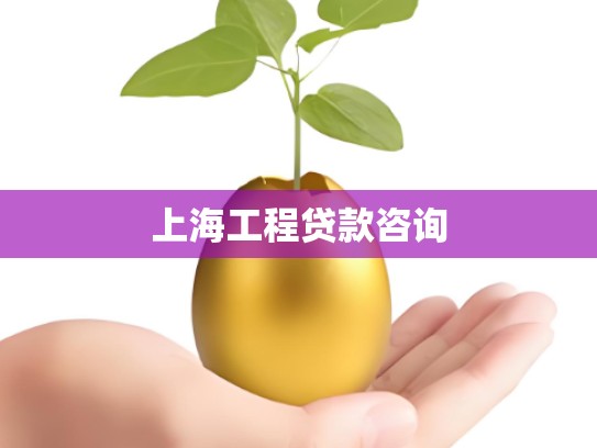 上海工程贷款咨询
