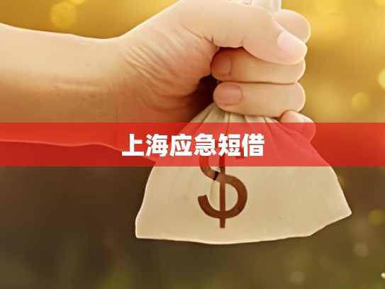 上海应急短借