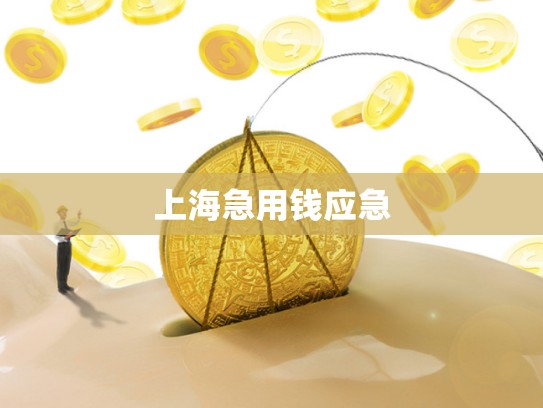 上海急用钱应急