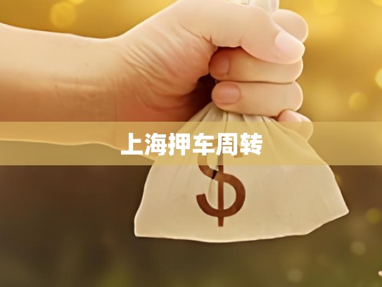 上海押车周转