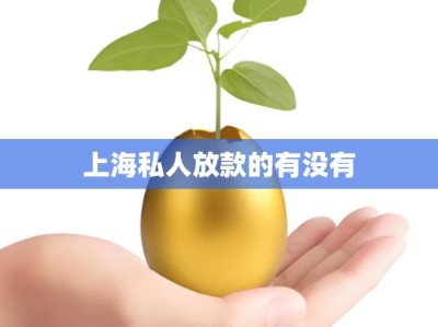 上海私人放款的有没有