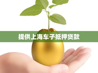 提供上海车子抵押贷款