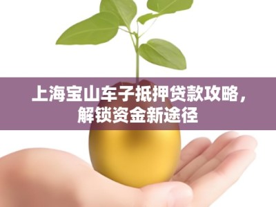上海宝山车子抵押贷款攻略，解锁资金新途径