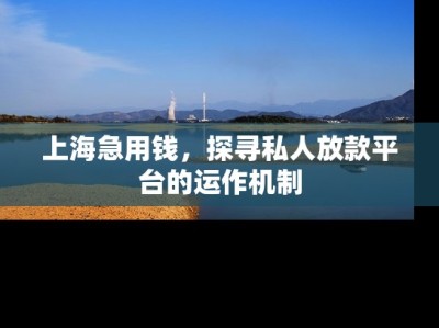 上海急用钱，探寻私人放款平台的运作机制