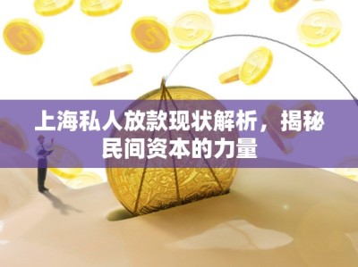 上海私人放款现状解析，揭秘民间资本的力量